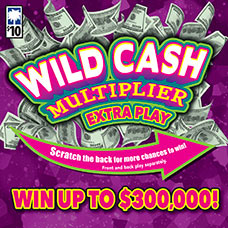 Wild Cash Multiplier Extra Play Scratch-Off Game Link