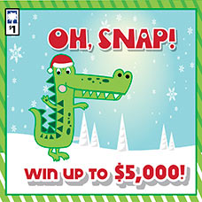 Oh, Snap! Scratch-Off Game Link