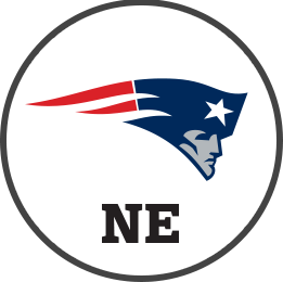 NEW ENGLAND PATRIOTS Team Logo Image, NE